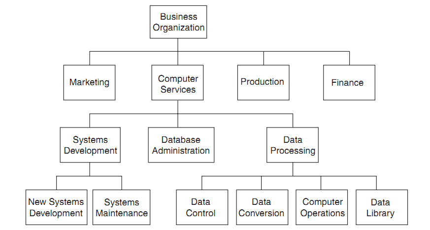 Organization of IT Function in a Centralized System