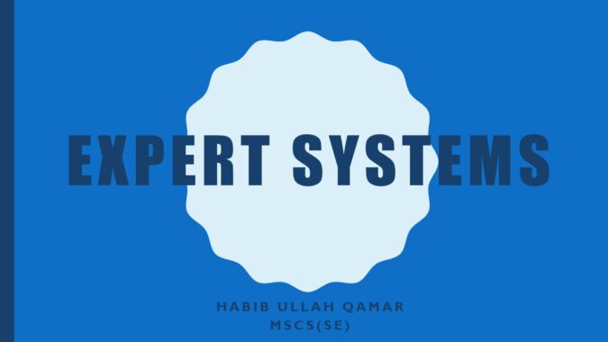 Expert-Systems.pdf