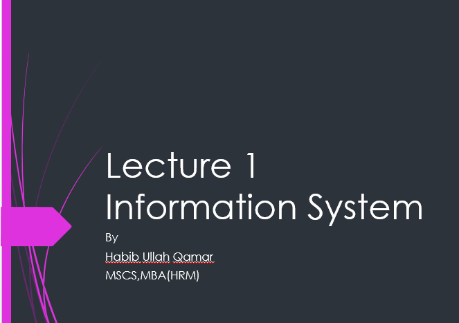 Information System Pdf Slides download - UOS BSIT Course Code: IT-2410