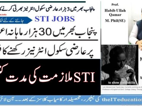 School Teacher Interns STI Jobs Tenure and Term of Internship
