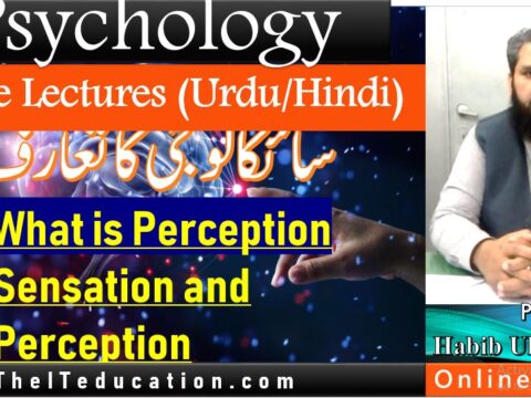 What-is-perception-introp-to-psycology-