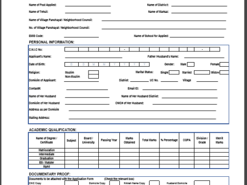 STI Jobs Application Form 2021